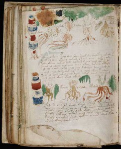 388px-Voynich_Manuscript_(182)