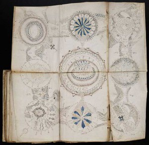 493px-Voynich_Manuscript_(158)