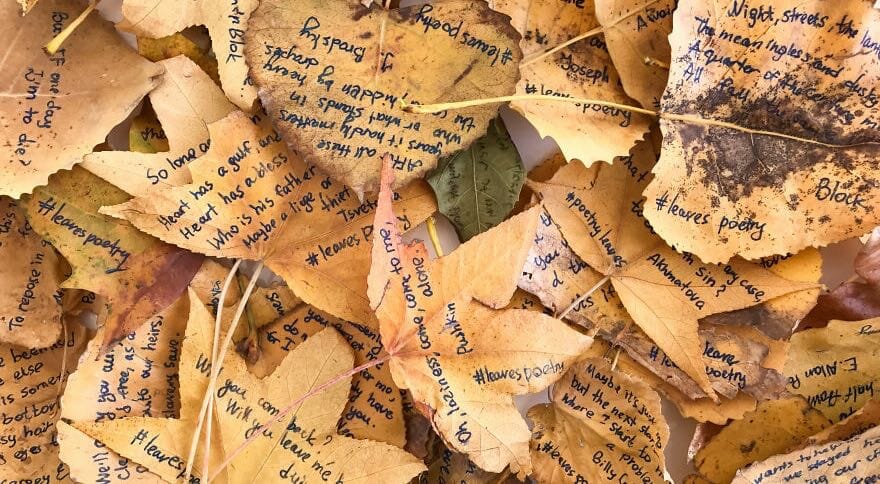 Risultati immagini per foglie c0n poesie