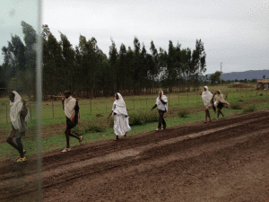 Sorgenti del Nilo - Etiopia - foto di Mariagrazia Mazzitelli