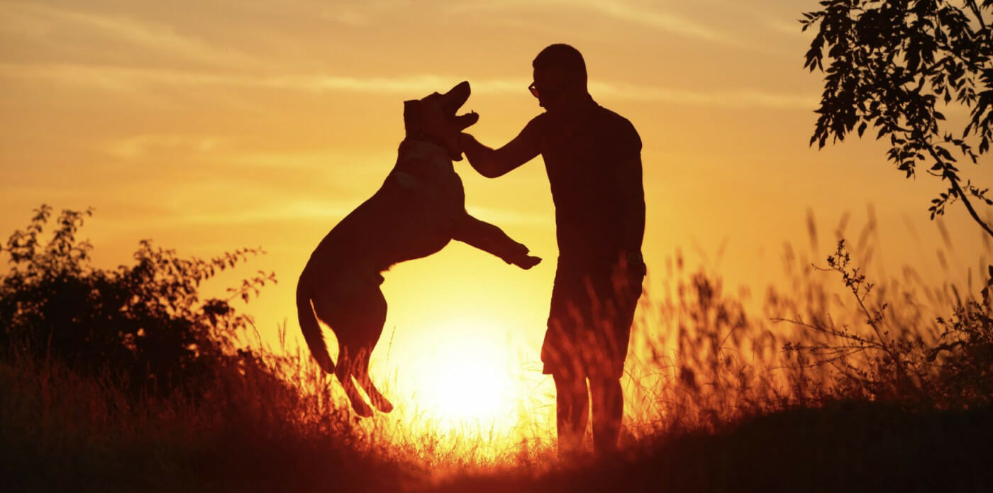 5 commoventi storie di grande amicizia tra uomini e animali