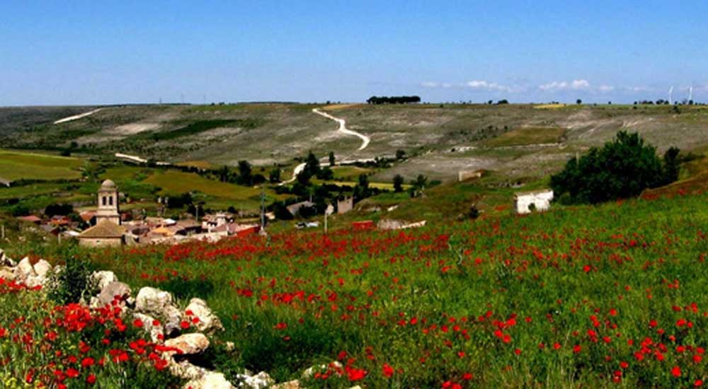 Il cammino di Santiago raccontato da una scrittrice