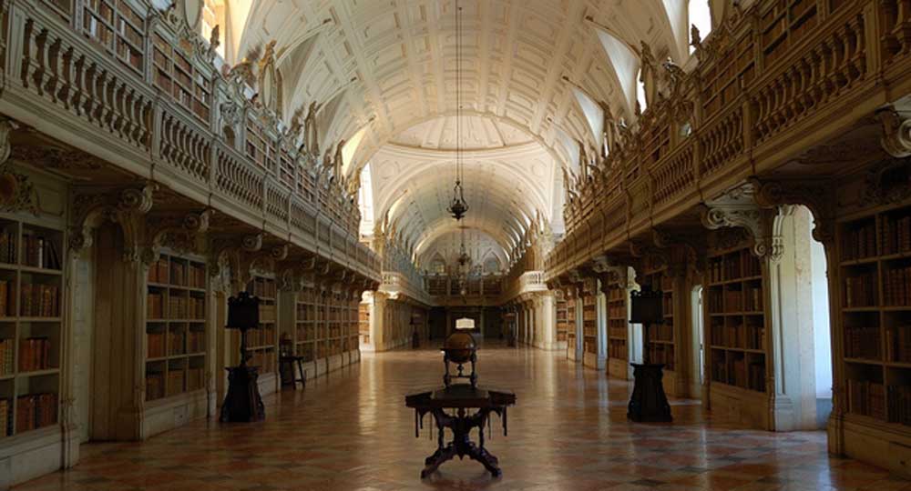 Portogallo, nell’antica biblioteca i pipistrelli “salvano” i libri dagli insetti – Foto