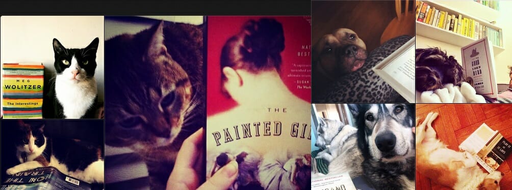 6 profili Instagram da seguire se ami leggere