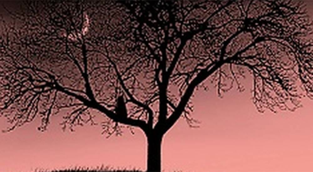 “La bambina che parlava alla luna”: da IoScrittore all’e-book