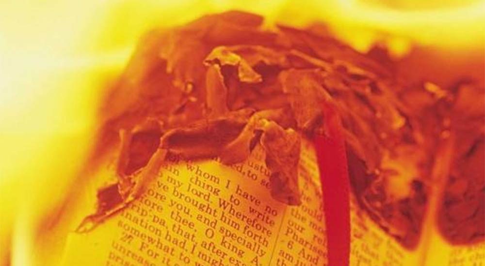 Continua l’accanimento sui libri: dopo i roghi, l’Isis mette al bando i volumi non islamici