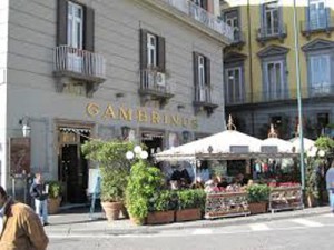 gambrinus