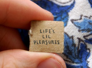 life lil pleasures