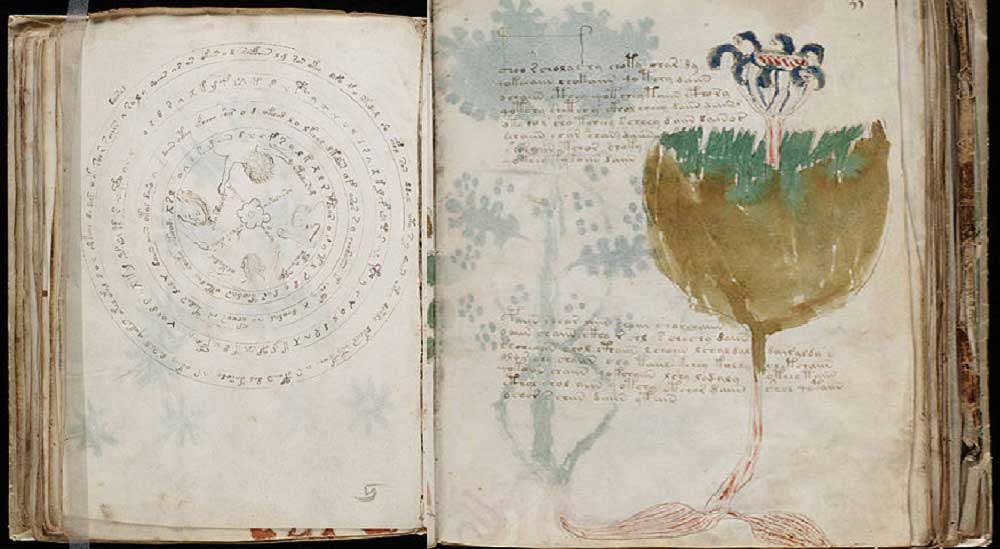 Yale, la biblioteca dei libri “rari”. E la misteriosa storia del “Manoscritto di Dio”