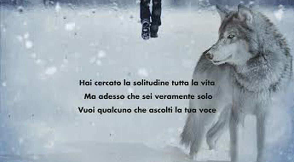 Una storia di solitudine, umanità e lupi…