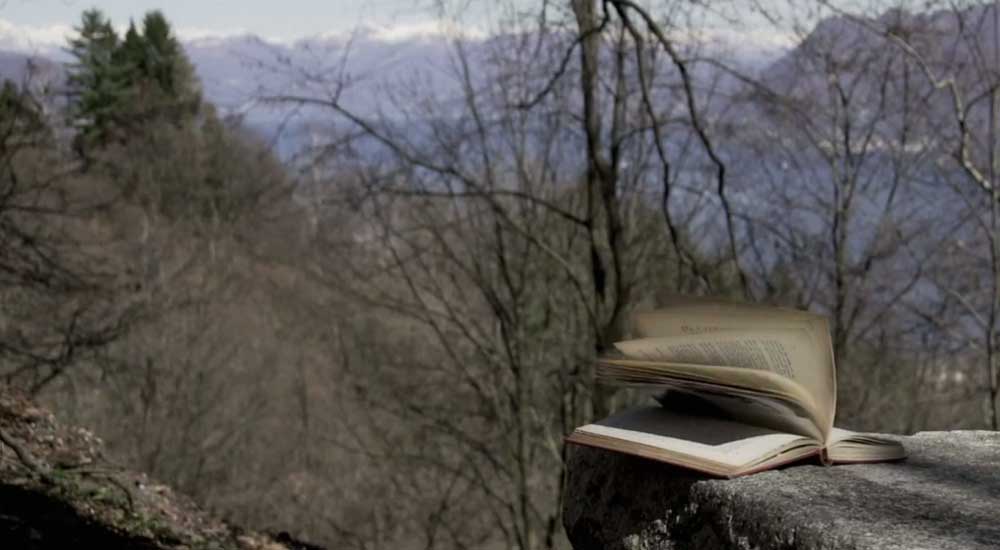 Una canzone d’autore che promuove la lettura. Ecco la colonna sonora di #ioleggoperché