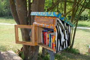 Little free library Vigna Clara