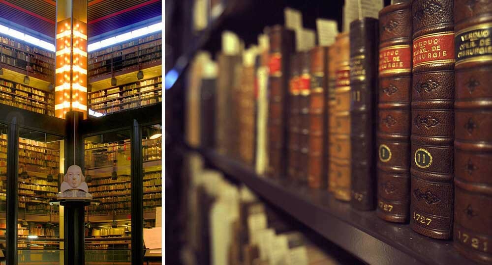 Farsi costruire la biblioteca dei sogni, per riconquistare una donna