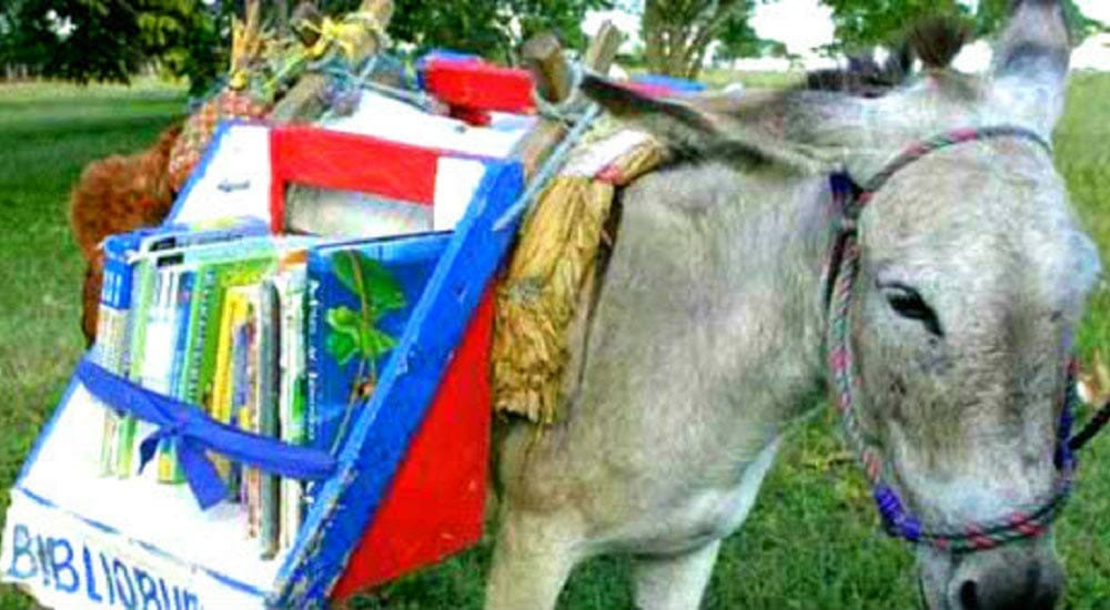 Colombia: la biblioteca itinerante è… un asino. La storia (e le foto) di “Biblioburro”