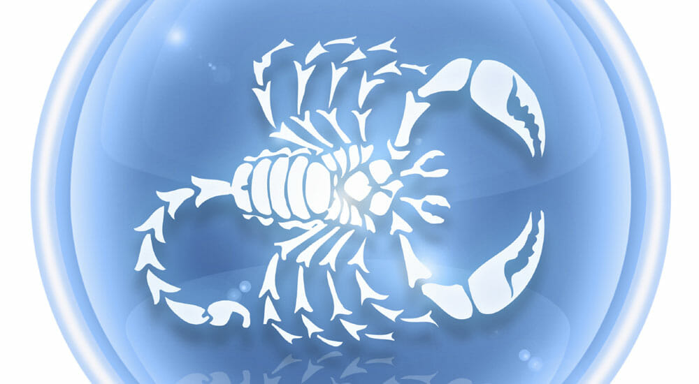 Maledetto lo Scorpione che t’ho incontrato