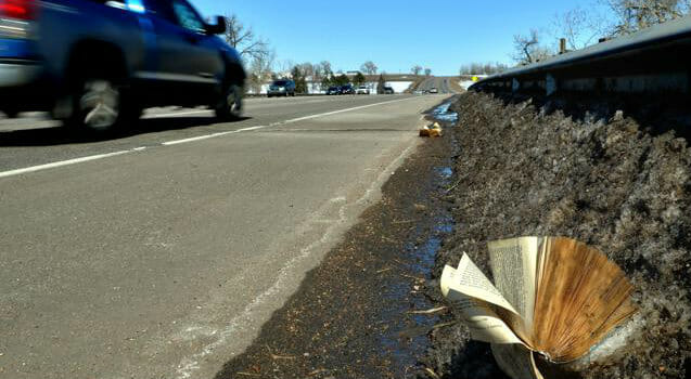 Libri gettati dalle auto, Little Free Library incendiate…