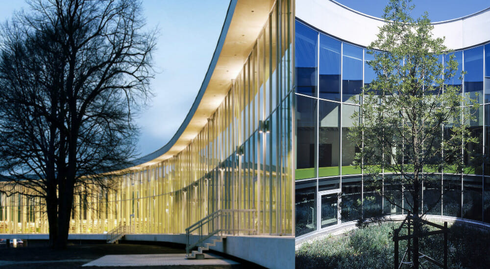 In Svezia la biblioteca che “abbraccia” un albero secolare
