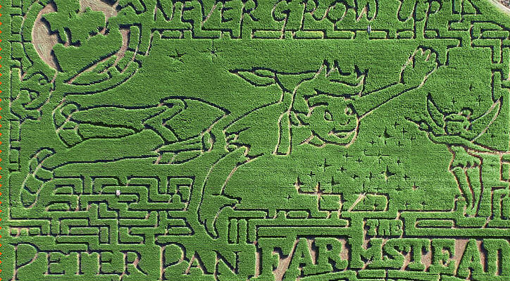 Da Peter Pan ad Alice: labirinti letterari nei campi di mais, visti dall’alto