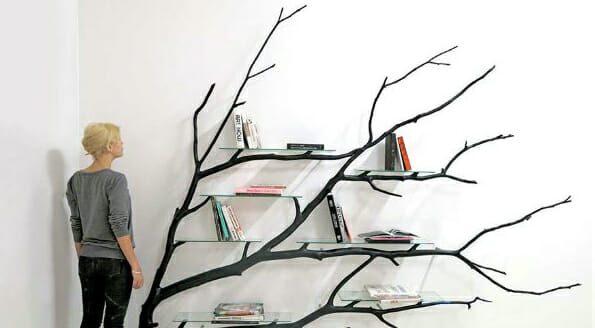 La libreria nata da un albero caduto
