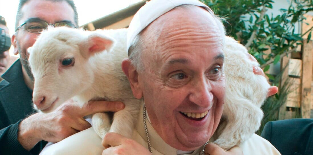 “Gli animali sono doni del Signore”: la riflessione del biblista dopo le polemiche sul Papa