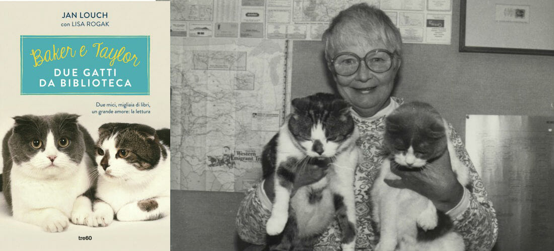 Baker & Taylor: due gatti “celebrità” che salvano i libri dai topi