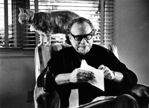 bukowski-cat