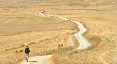 Cammino di Santiago: la guida in 36 tappe