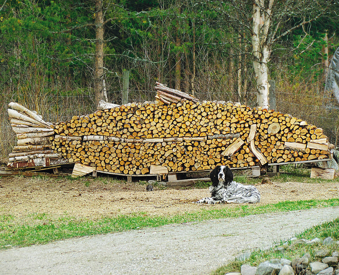 norwegian wood catasta legna