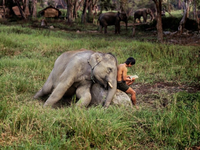 Steve McCurry, Thailandia