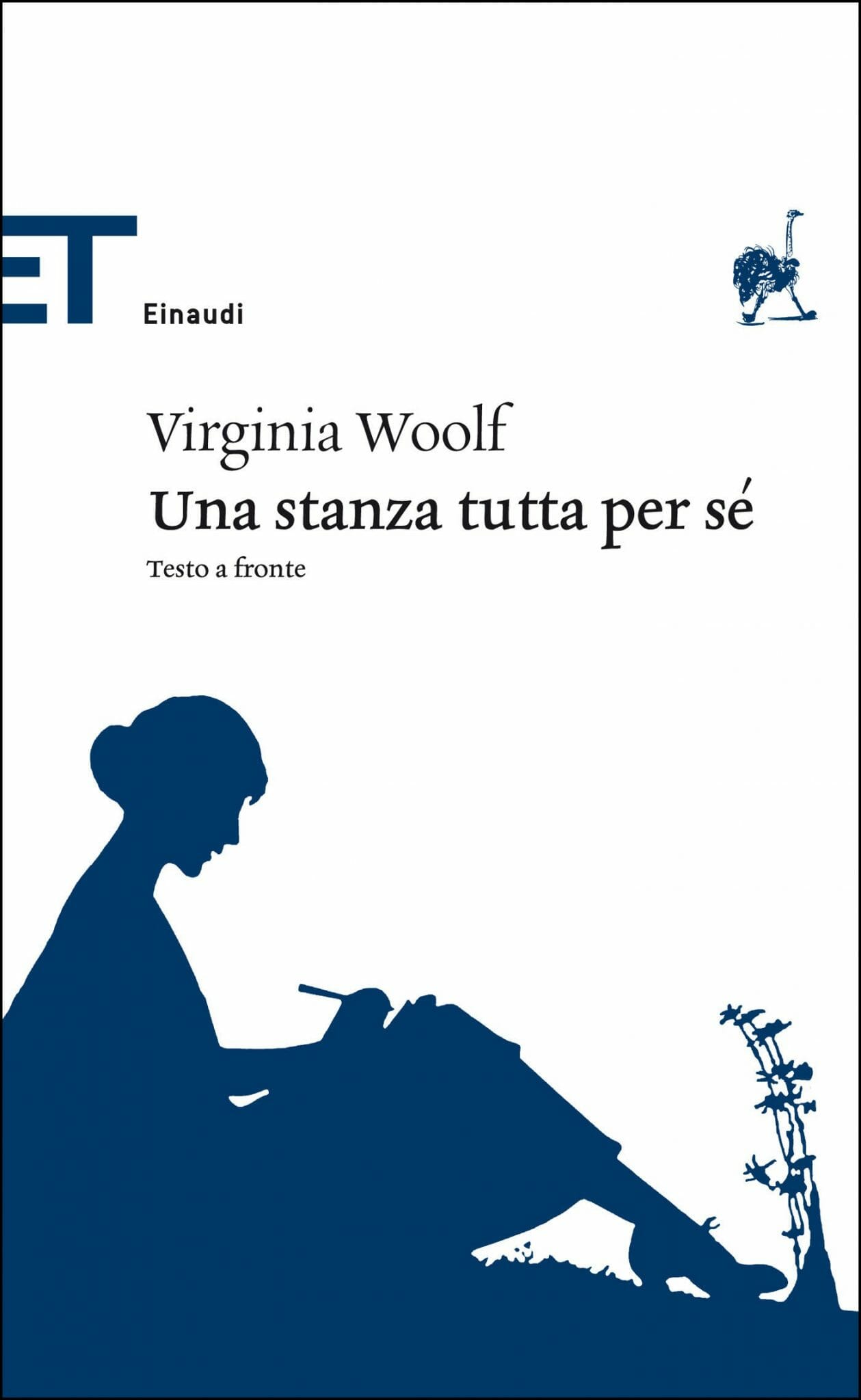 una stanza tutta per sè virginia woolf