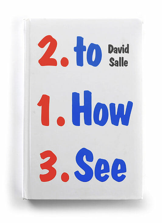 “How to See” - David Salle