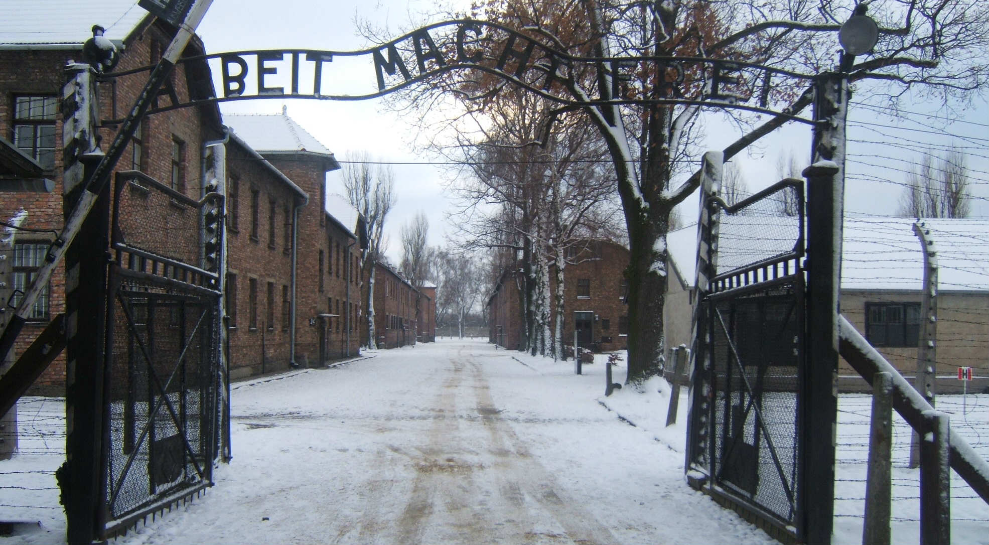Auschwitz - giornata della memoria