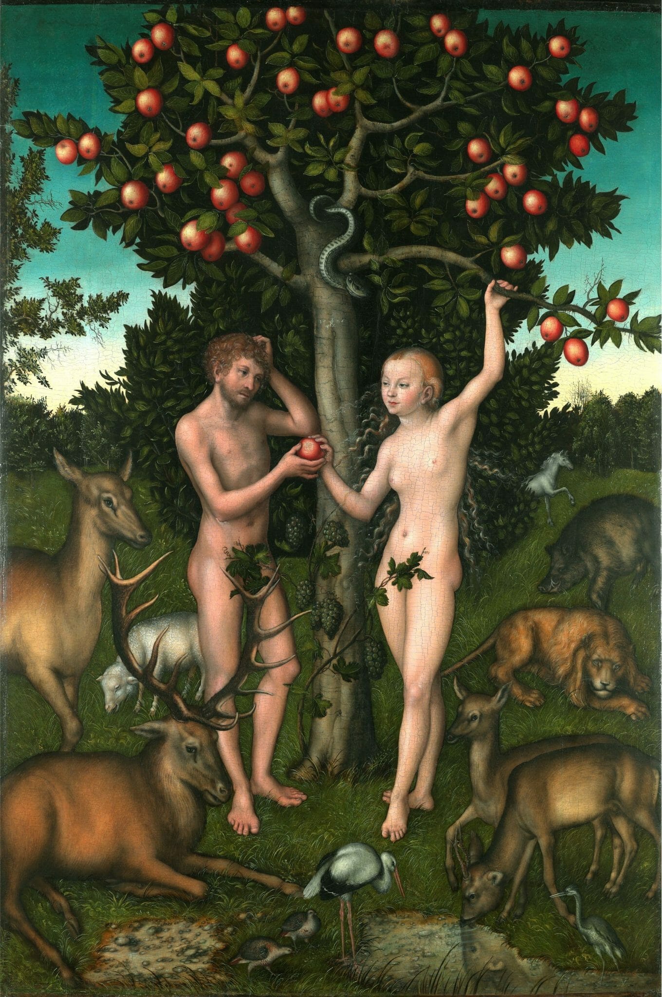 Lucas Cranach, Adamo ed Eva 