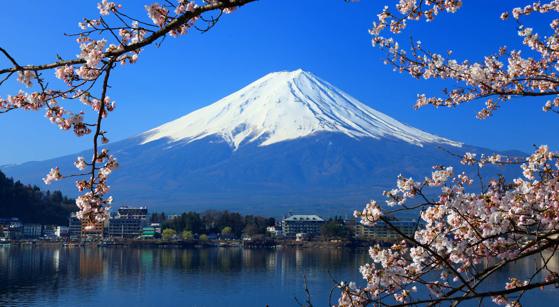 Viaggio in Giappone, tra paesaggi, storia e letteratura
