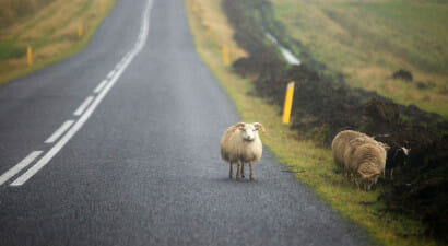 La spiritualità del pastore d'Islanda