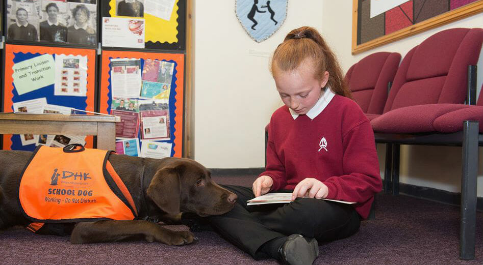 Dogs Helping Kids