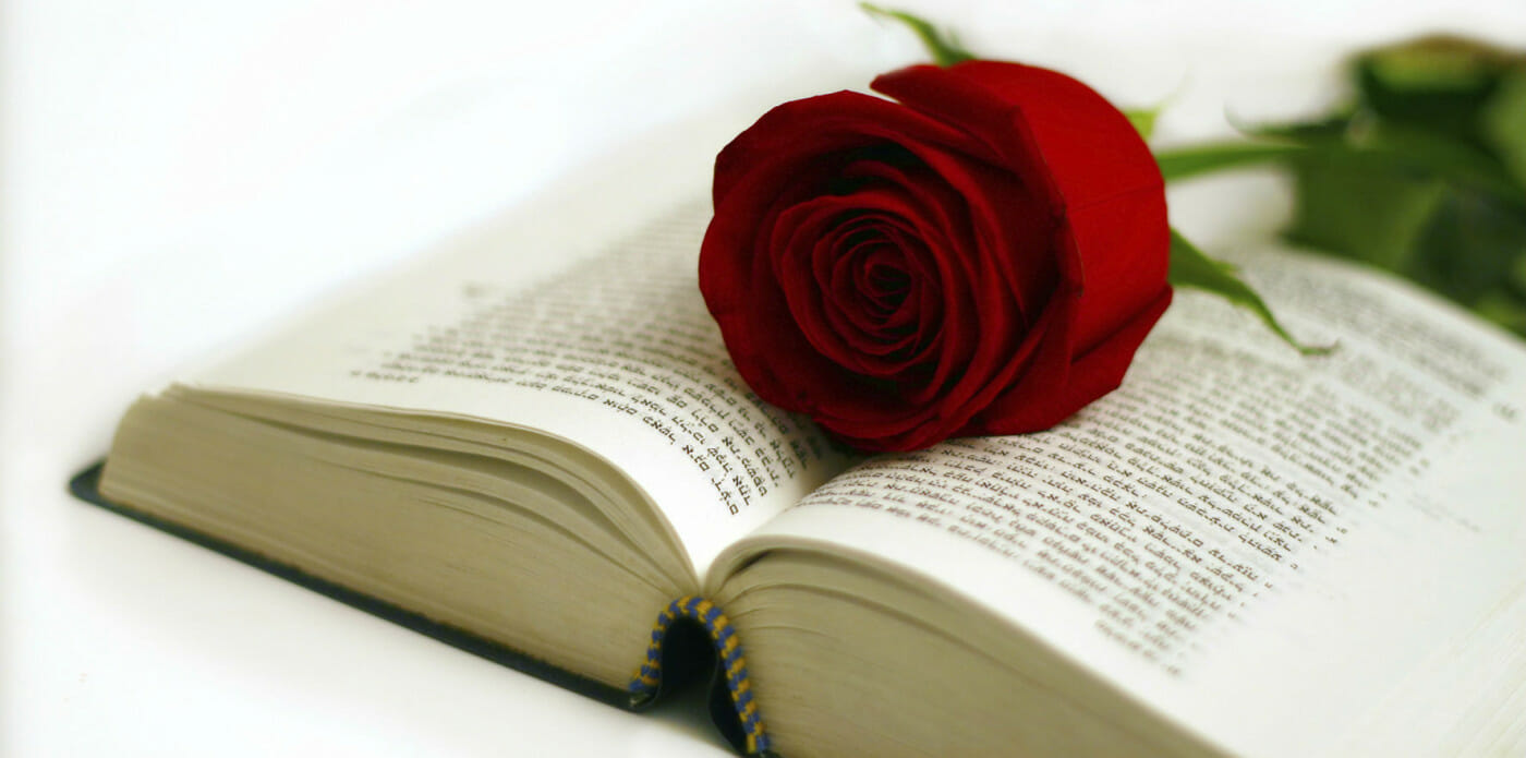 rose libri