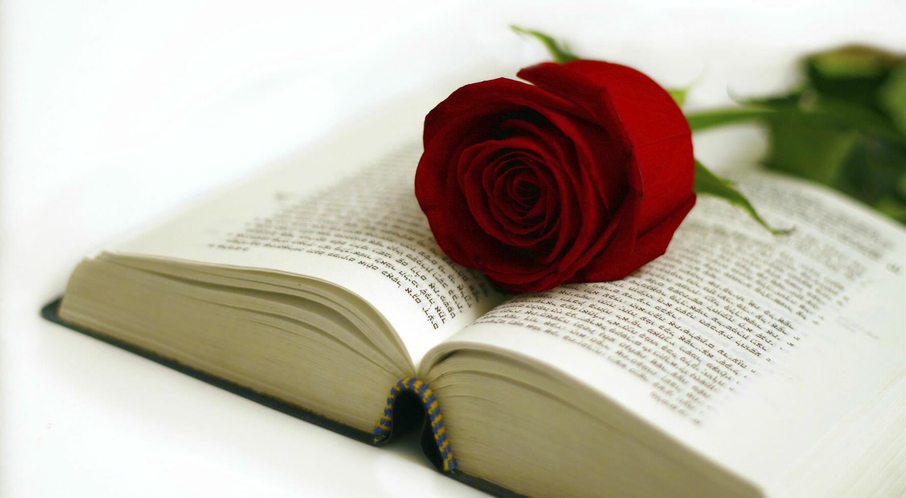 rose libri