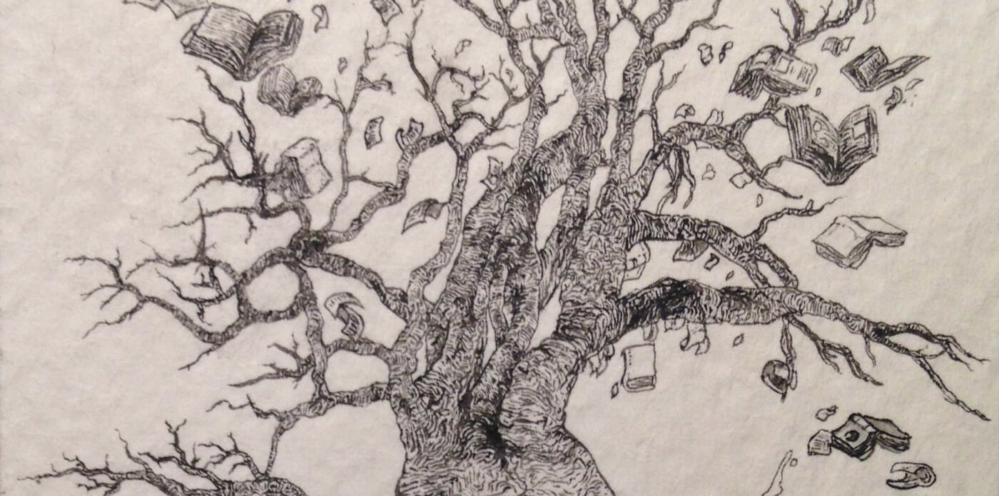 tommaso rossi albero