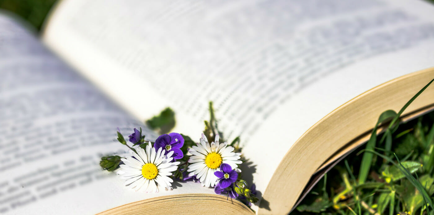 libro libri book books segnalibro fiori margherita margherite fiore prato lettore lettura leggere
