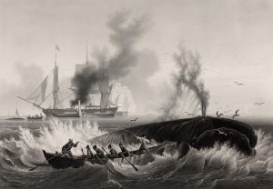 Ambroise Louis Garneray, Caccia alla balena