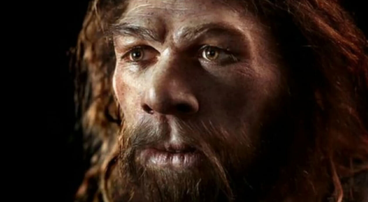 uomo di neanderthal