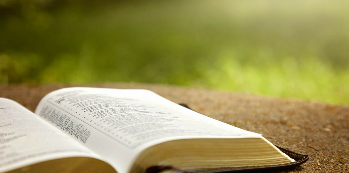 libro, libri leggere lettura lettori lettrice lettore