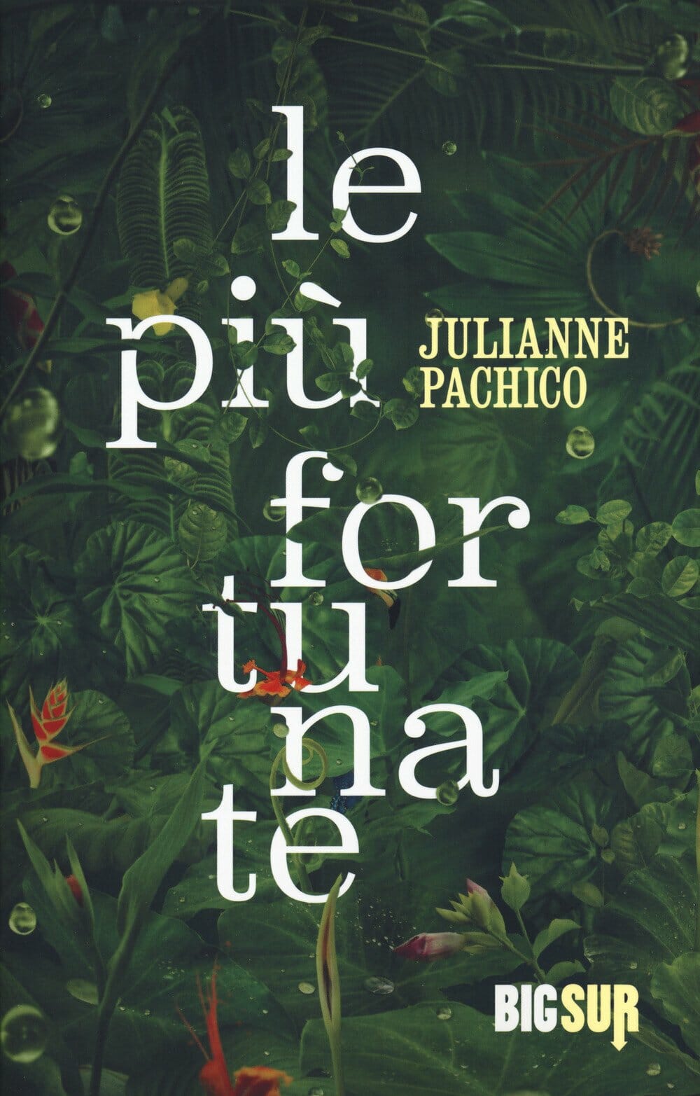 Julianne Pachico
