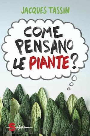 Cosa pensano le piante?