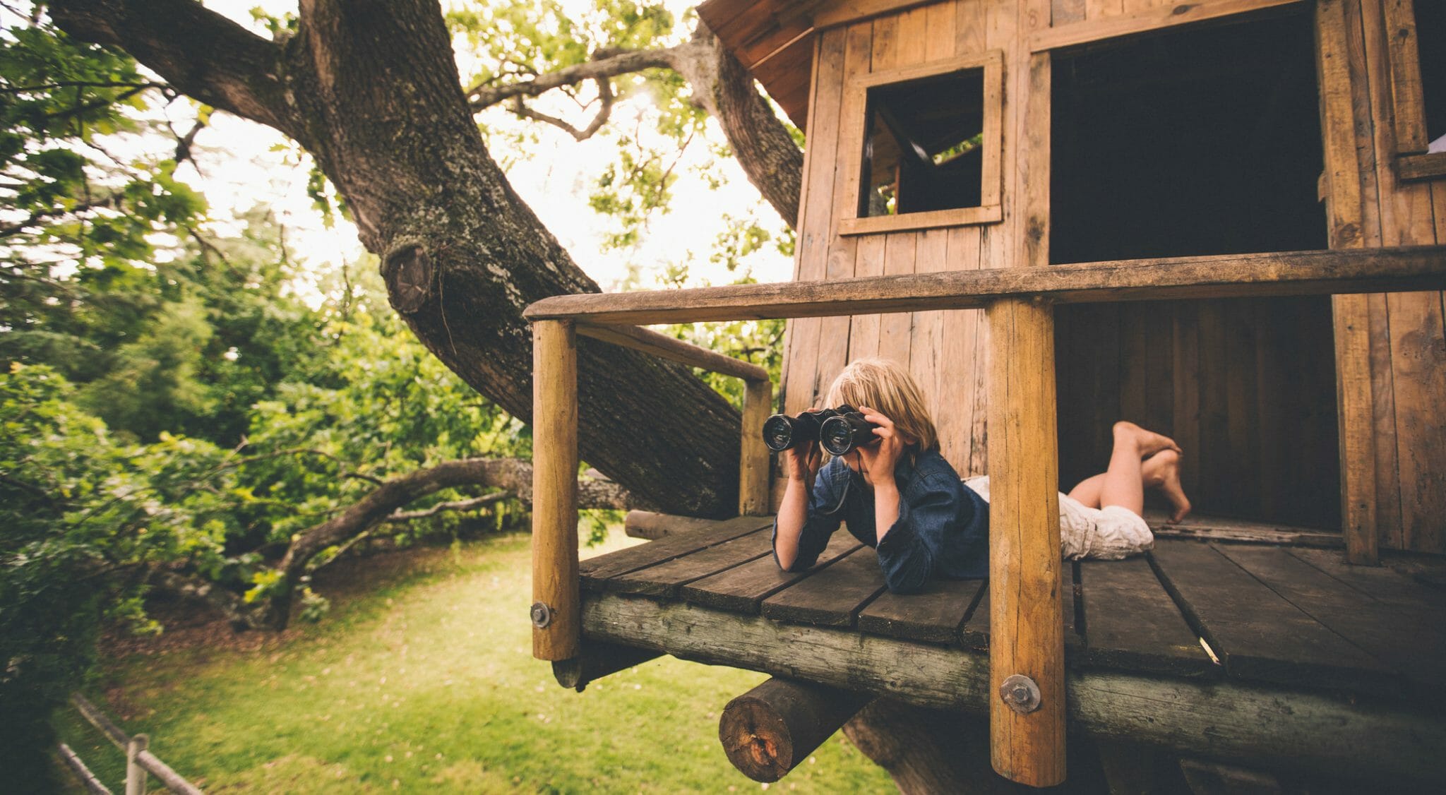 Nascondersi in una casa sull'albero: libri e film per bambini che non vogliono crescere