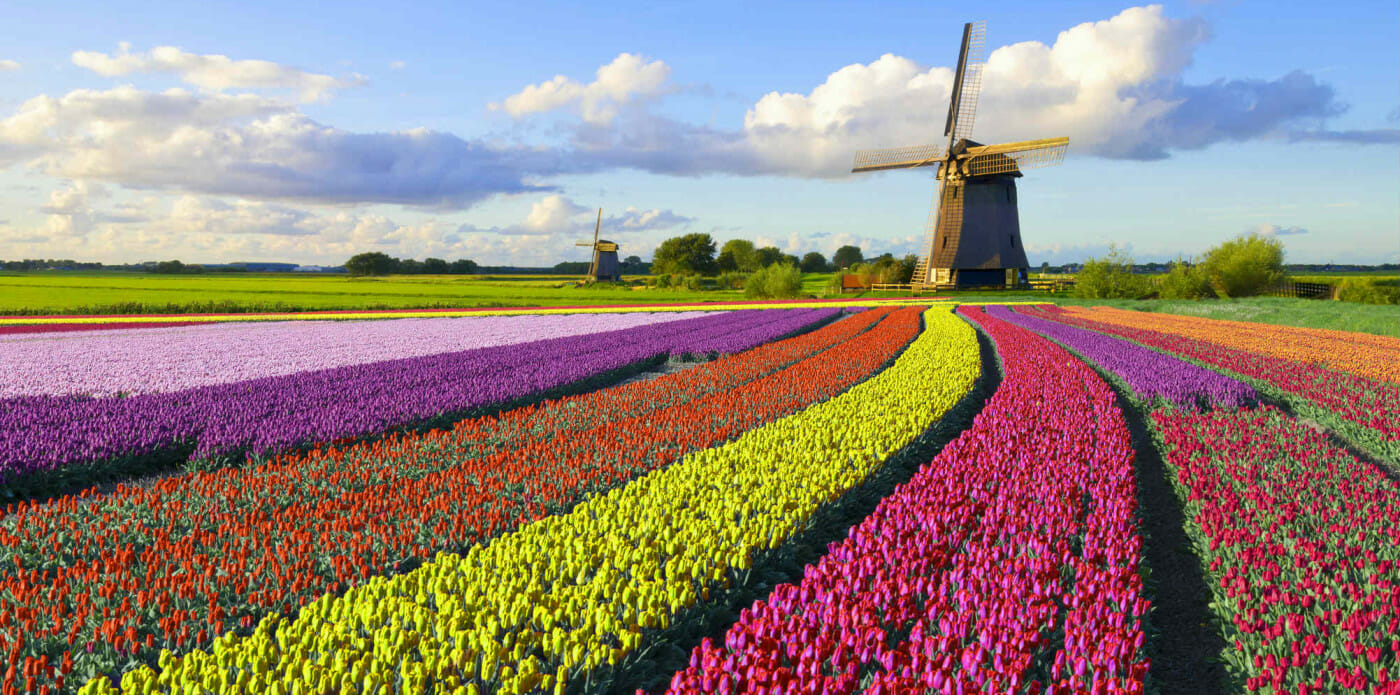 olanda