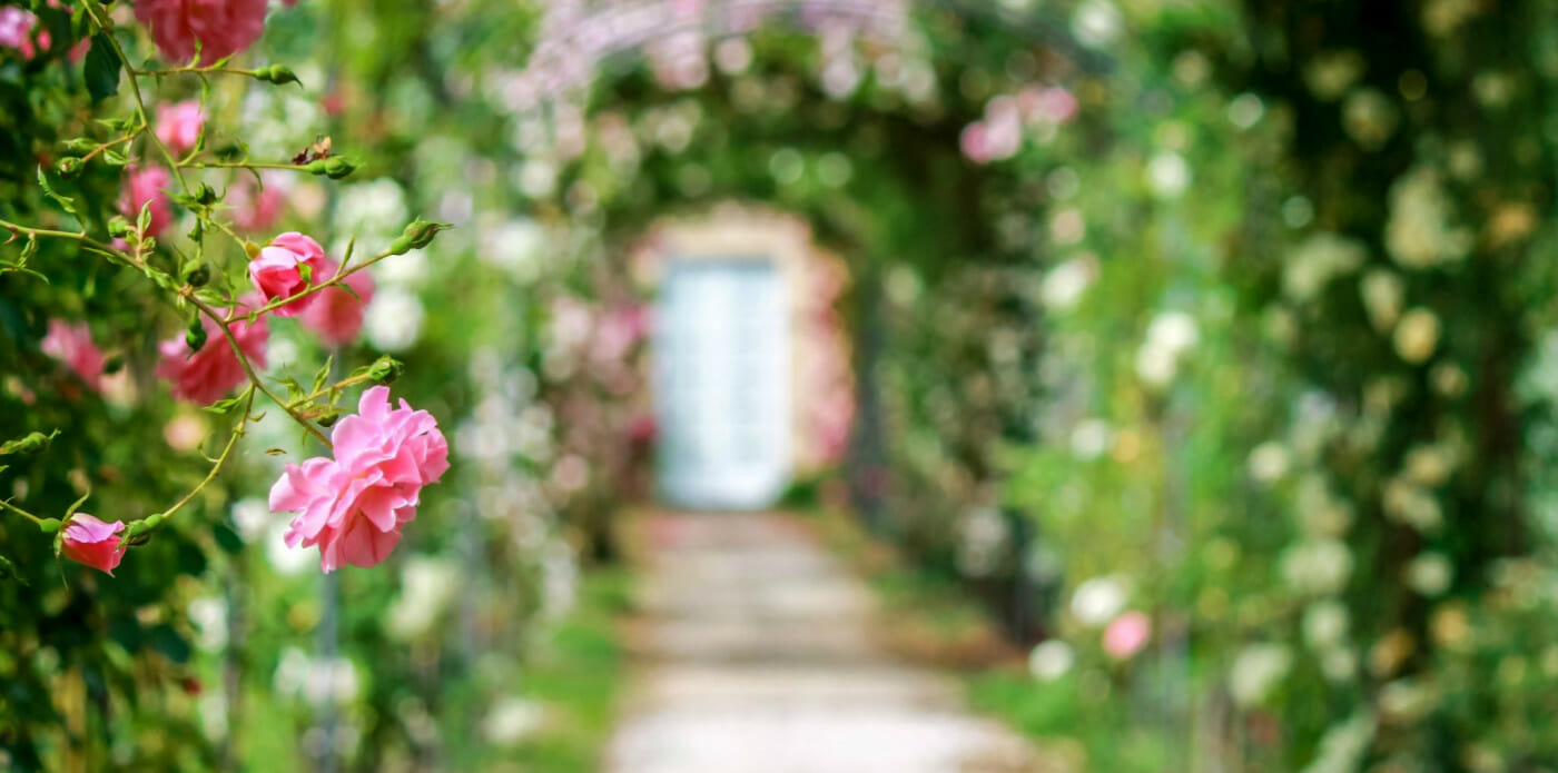 giardino