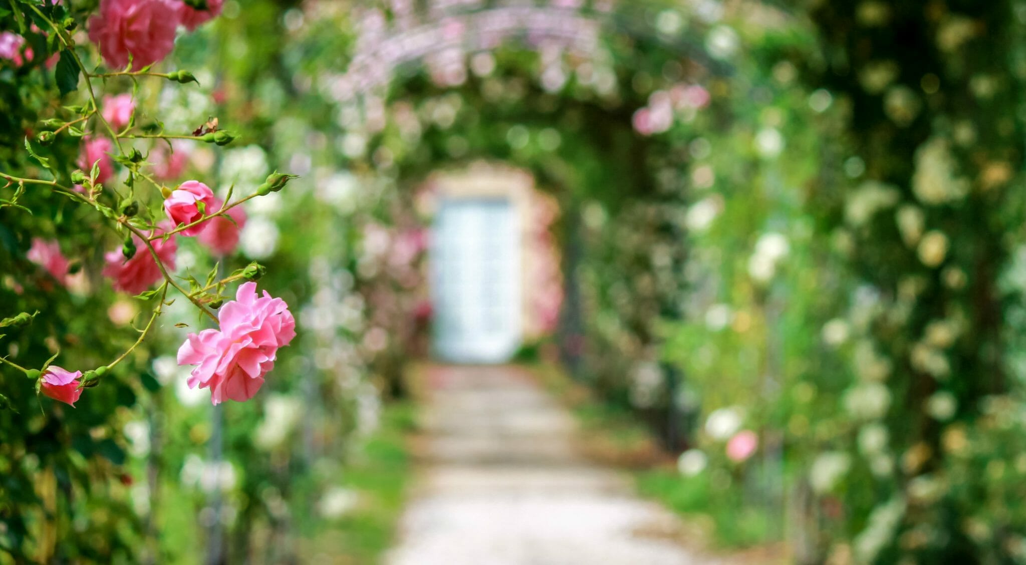 "Giardinosofia": un saggio sulla filosofia dei giardini