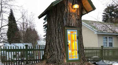 Salva una quercia e costruisce una piccola biblioteca all'interno del tronco